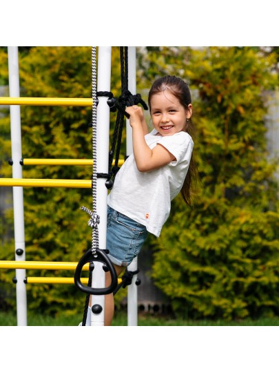 Детский спортивный комплекс для дачи ROMANA Богатырь MAX (качели пластиковые)