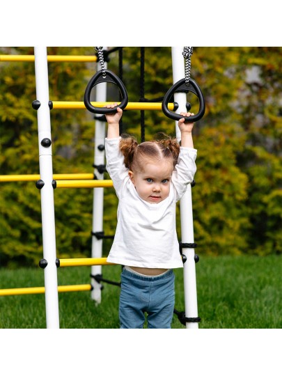 Детский спортивный комплекс для дачи ROMANA Богатырь MAX (качели пластиковые)