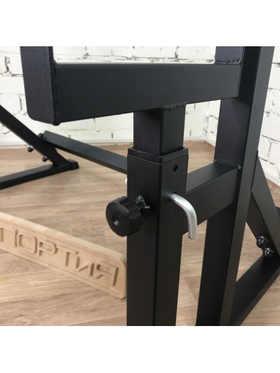 Стойки под штангу с подстраховкой и брусьями 2.0, черный